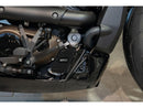 Harley Davidson Sporters S RH1250S [2021-2024]-Heat exchanger cover SP-S Design-3