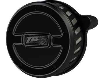 Harley Davidson Sportster [2017-2020]-TB-S air filter flat black