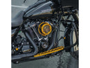 Harley Davidson Softail [2018-2024]-Method ™ Clear Series Air Filter Gold-4
