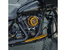Harley Davidson Flhxse [2023-2024]-Method ™ Clear Series air filter gold anodized-11