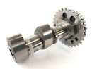 Aprilia RSV 1000 RR Factory [2009] - Camshaft exhaust camshaft cylinder rear-2