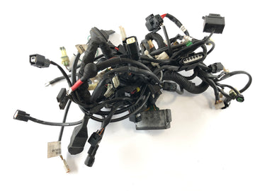 Husqvarna 701 Vitpilen [2018] - Wiring harness - 0