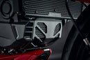 Ducati Monster 950 / Monster 950 Plus [ab 2021] - Motorschutz