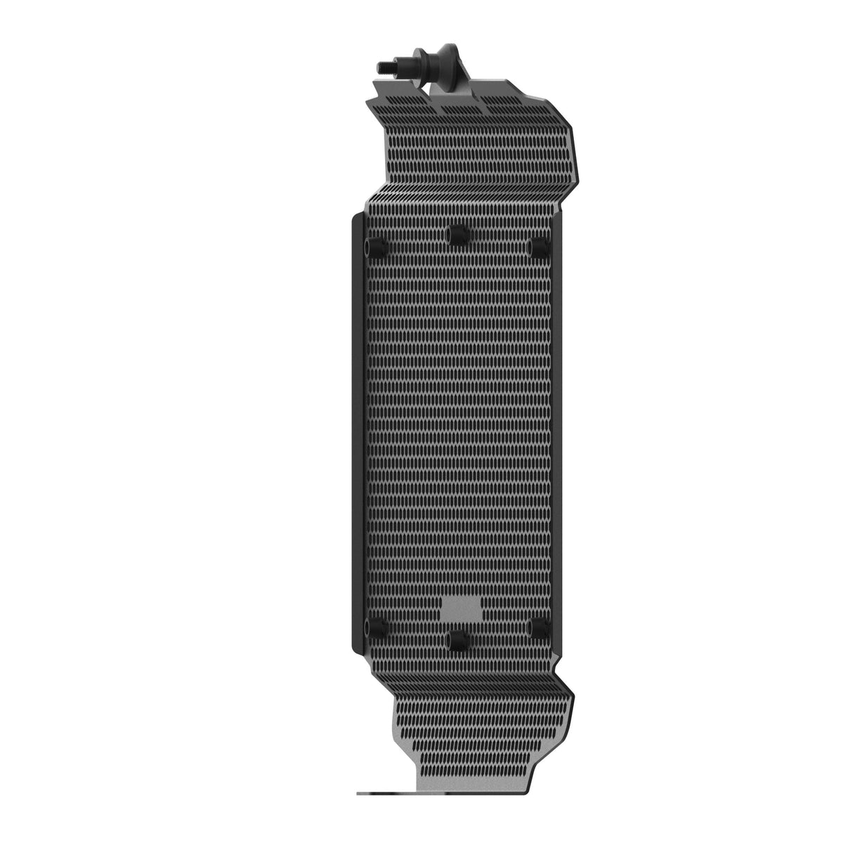 Moto Guzzi V100 Mandello [2023+] - Kühlerprotektor – 360° Ansicht 16