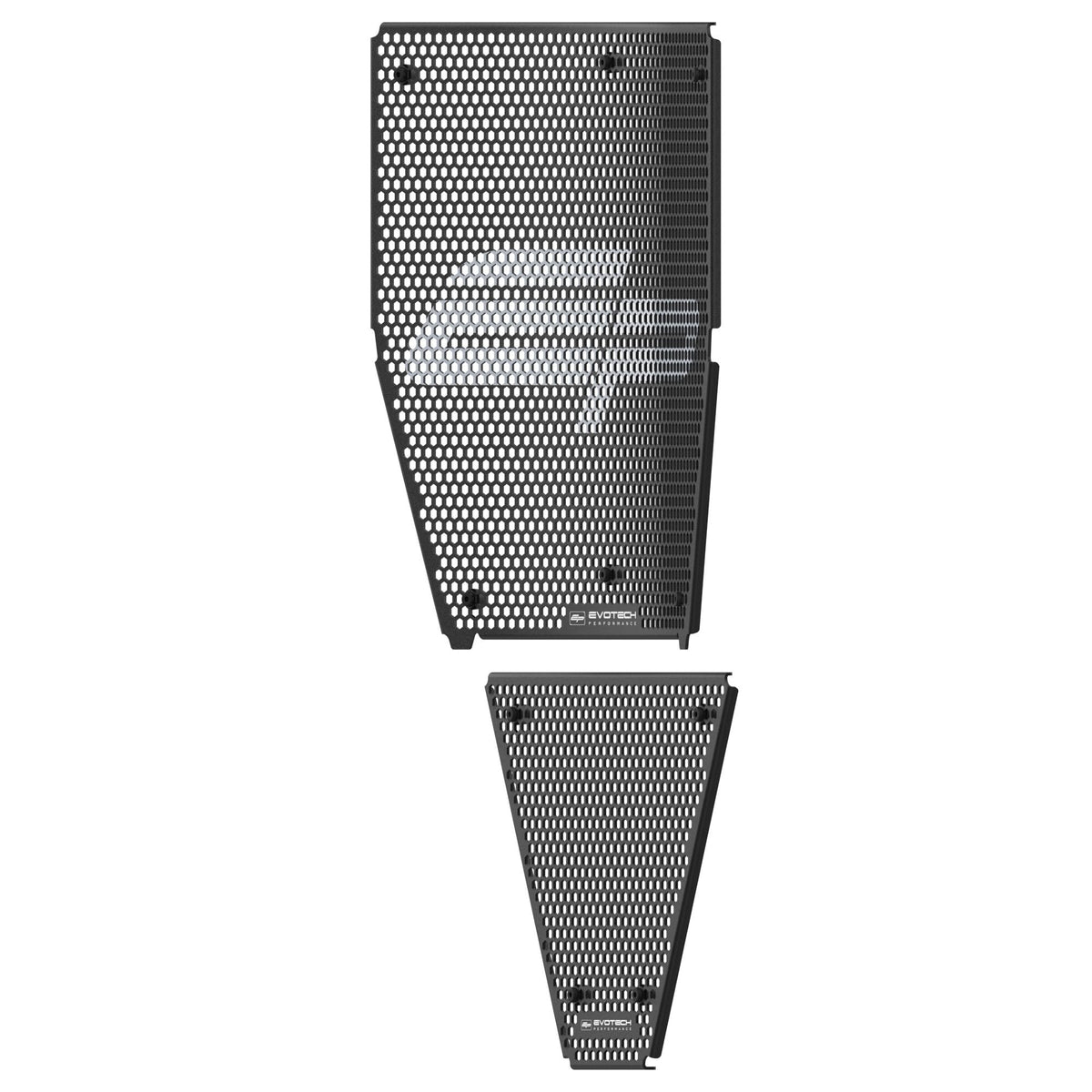 Ducati Panigale V4 R [2019–2020] - Racing-Kühlerschutz-Set – 360° Ansicht 5