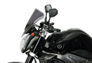 Yamaha FZ1 [2006-]-Racing disc "NRM"-12