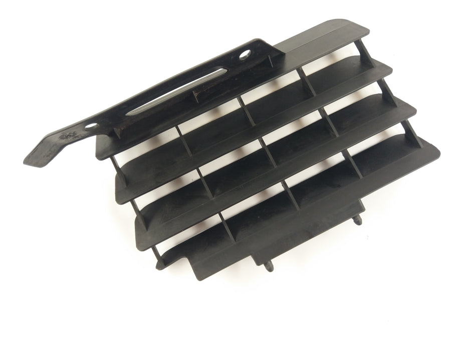 Yamaha WR 125 R DE07 [2010] - Radiator grille cover radiator
