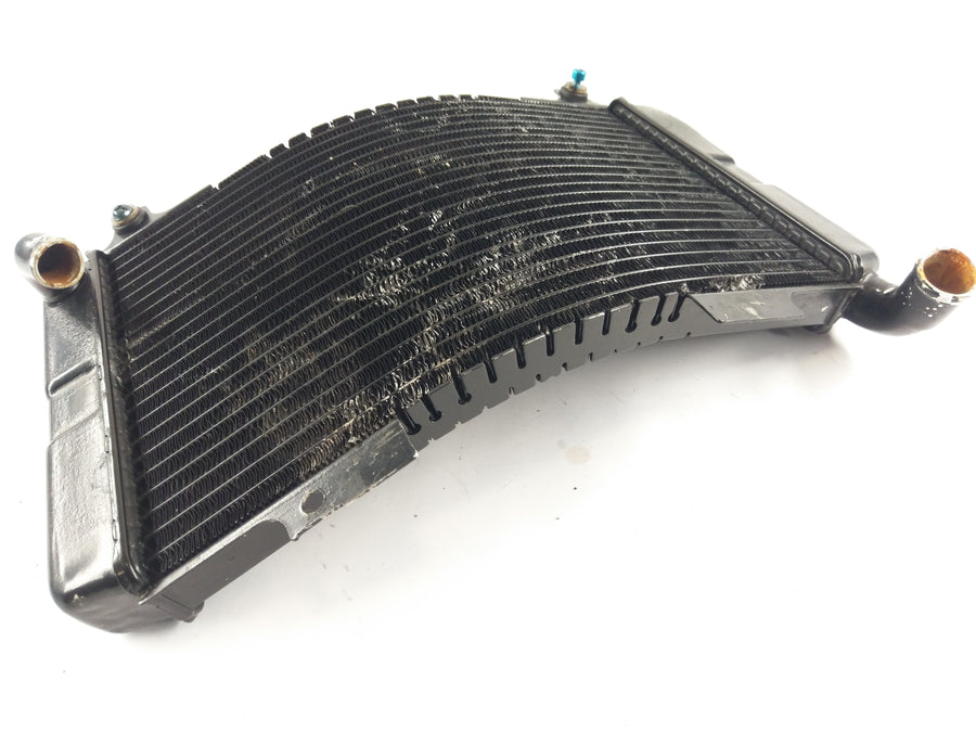 Aprilia RS 250 [1998] - Radiator water cooler defective