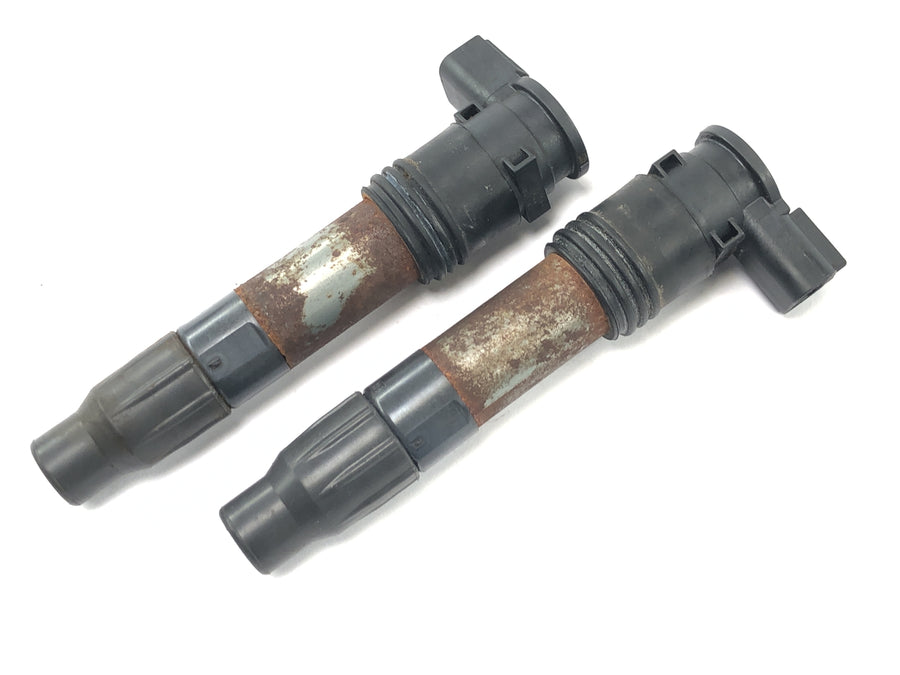 Husqvarna 701 Svartpilen [2019] - Ignition coil ignition unit set