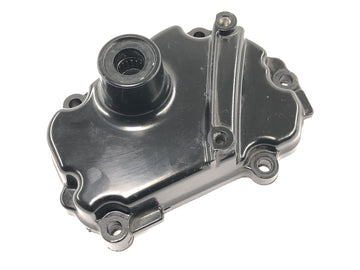 Yamaha YZF R1 RN09 [2002] - shift shaft cover engine cover left