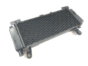 Yamaha XTZ 750 Super Tenere 3LD [1990] - Radiator water cooler cooling system