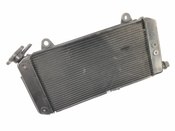 Yamaha XT 1200 Z Super Tenere DP01 [2012] - Kühler Wasserkühler Kühlradiator