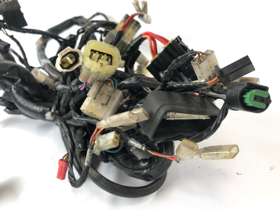 KTM Duke 690 A3 [2012] - Wiring harness