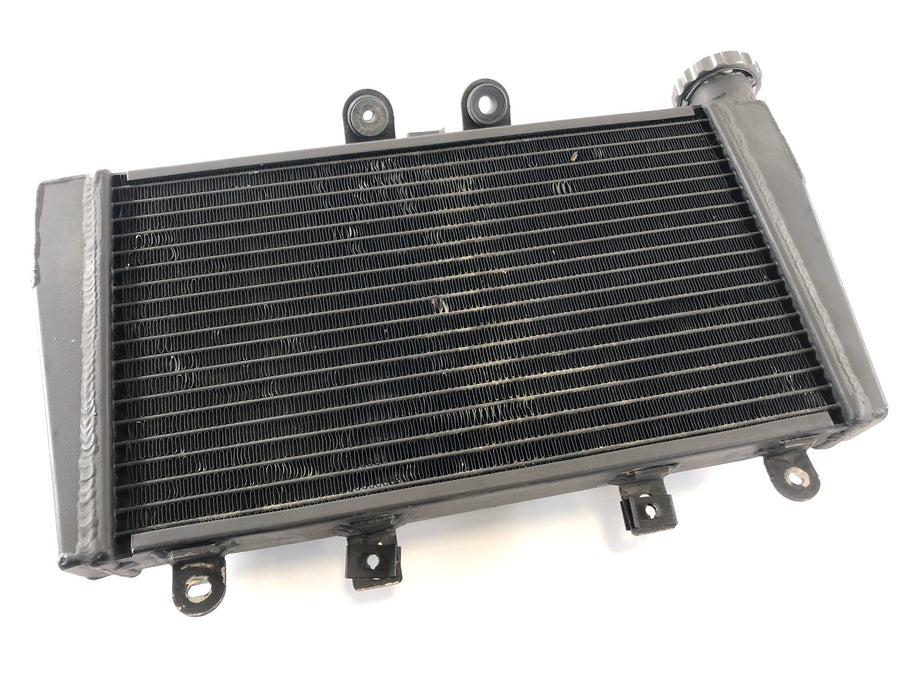 Triumph Speed ​​Triple 1050 515NJ [2006] - Radiator Water Cooler