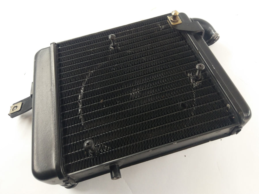 Benelli TNT 1130 Sport [2002] - Radiator Water Cooler
