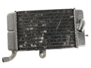 Honda Africa Twin XRV 750 RD07 [1993] - Radiator left-2