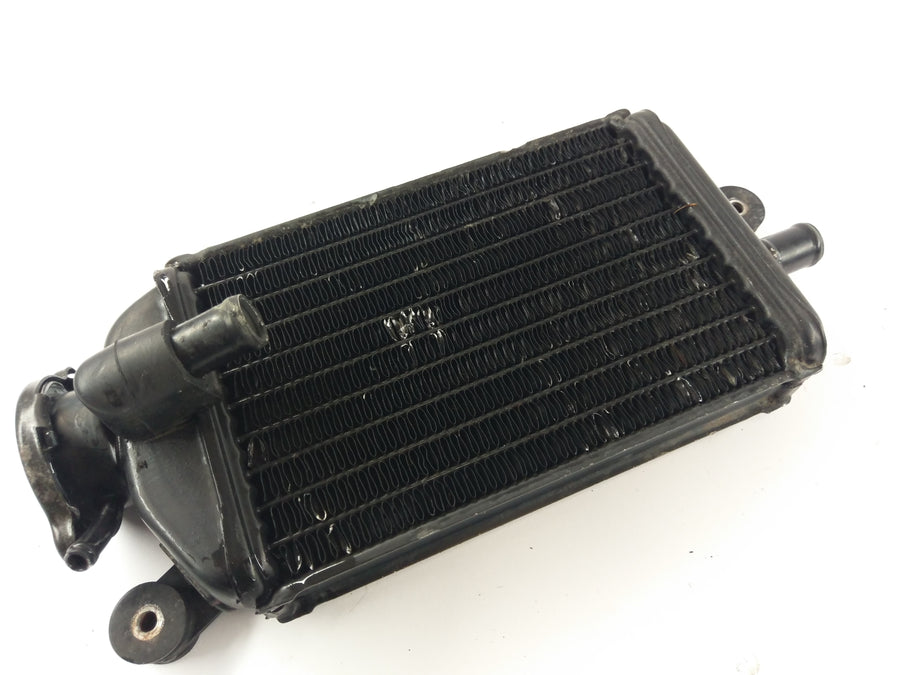 Yamaha DT 125 LC 10V [1982] - Radiator Water Cooler