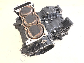 Triumph Tiger 955i 709EN [2001] - Engine block engine housing