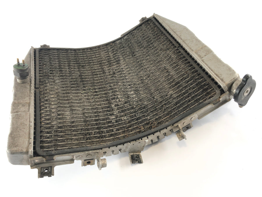 Kawasaki ZXR 400 ZX400L [1993] - Radiator Water Cooler