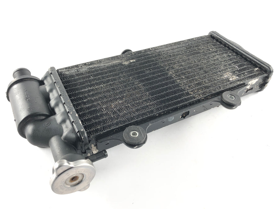 BMW F 650 CS Scarver [2001] - Radiator Water Cooler