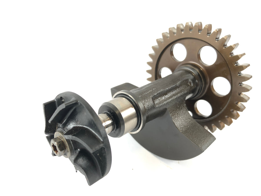 KTM Duke 690 A3 [2012] - Balance shaft with water pump wheel