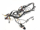 Triumph Thunderbird 900 RT T309 [1997] - Wiring harness-1