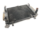 Yamaha YZF R6 RJ03 [2000] - Radiator Water Cooler-2