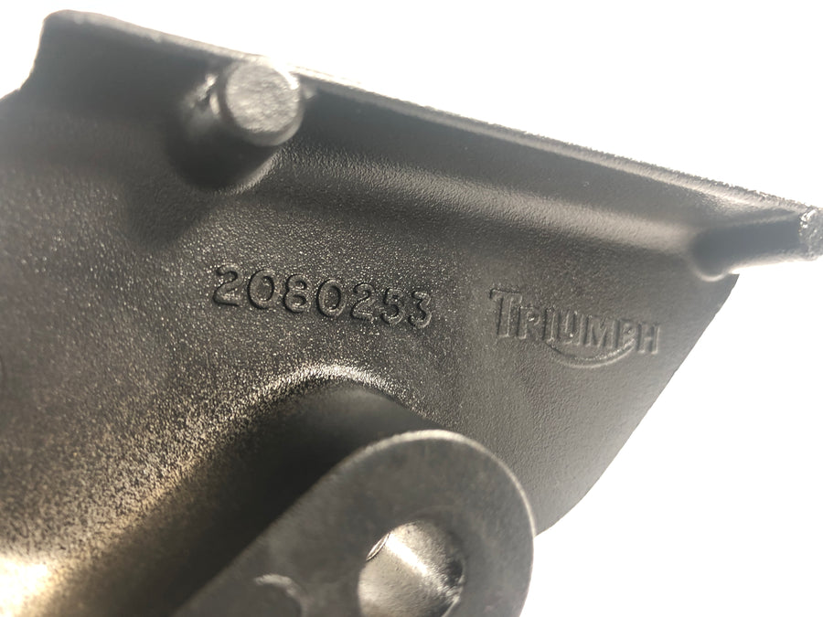 Triumph Daytona 1200 T300D [1995] - Right footrest with brake pedal