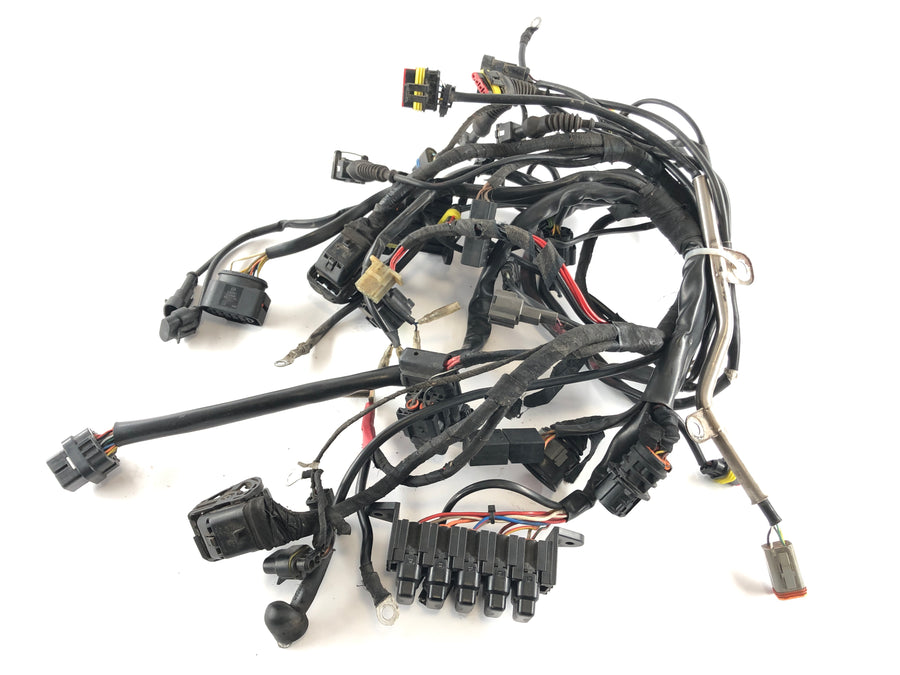 Ducati Multistrada 1000 DS [2003] - Wiring harness main wiring harness