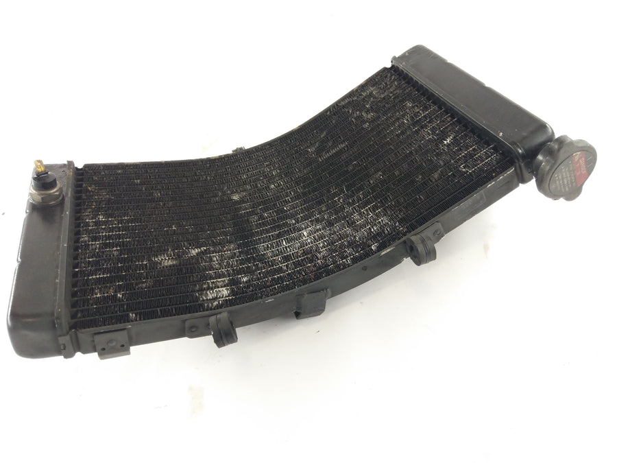 Honda CBR 900 RR SC33 [1996] - Radiator Water Cooler