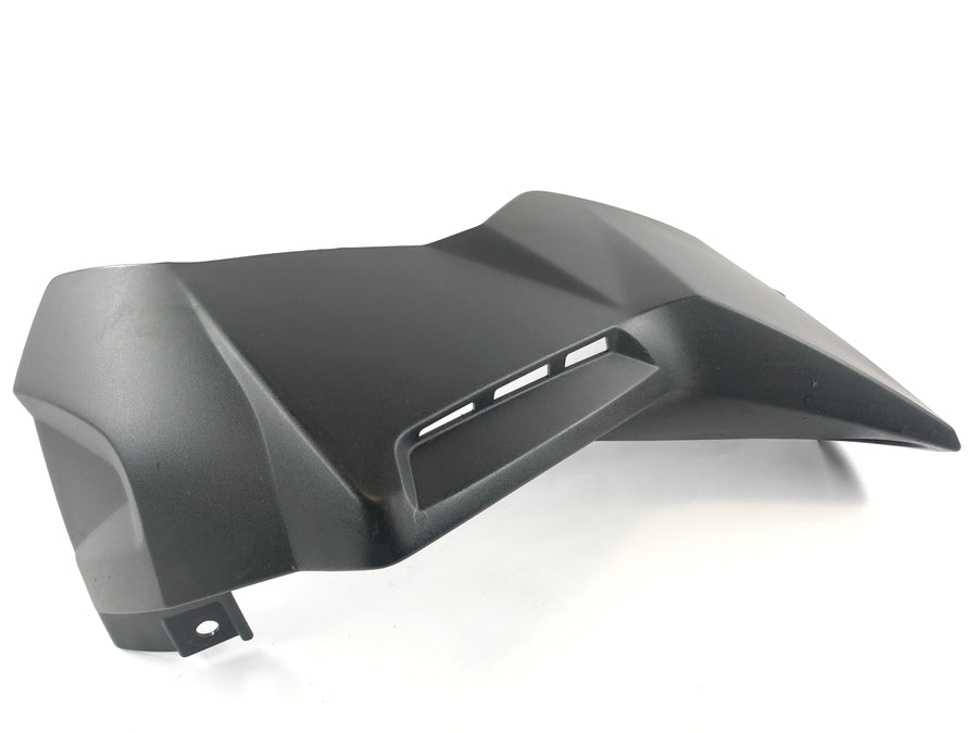 BMW K 1300 R [2010] - left fairing