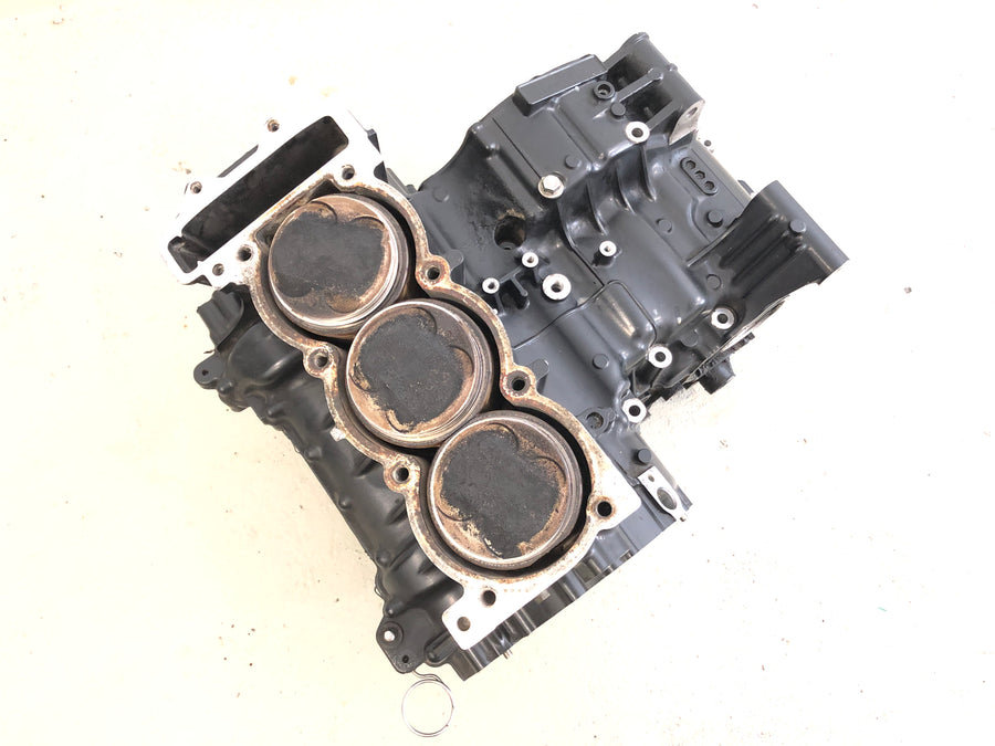 Triumph Tiger 955i 709EN [2001] - Engine block engine housing