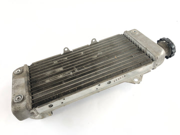 Yamaha WR 125 R DE07 [2016] - Radiator Water Cooler - 0