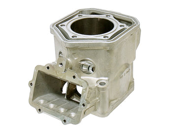 SKI DOO EXPEDITION 600 HO SDI [2005-2006] - Cylinder for snowmobiles