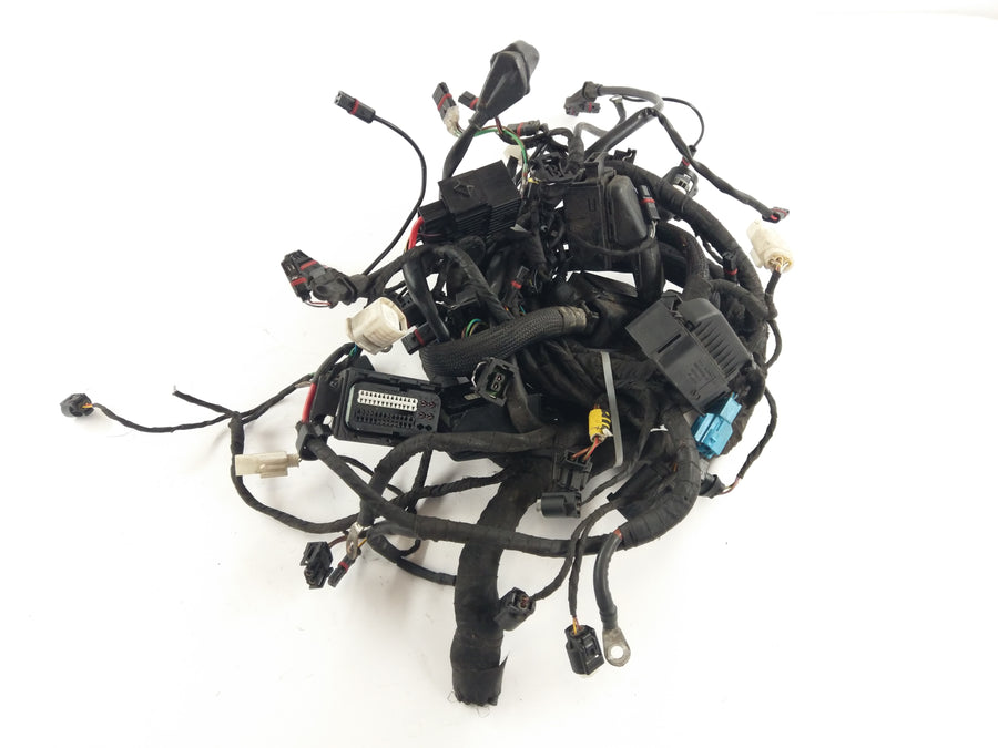 BMW K 1200 R [2010] - wiring harness