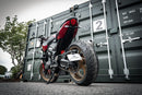 Triumph Trident 660 [2026+] - Schwingen-Kennzeichenhalter