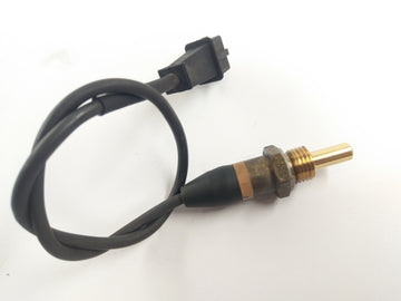 BMW R 1150 R R21 [2001] - Temperature sensor