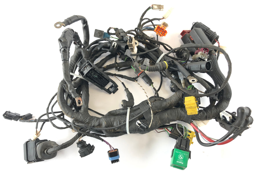 BMW F 650 CS Scarver [2001] - Wiring harness