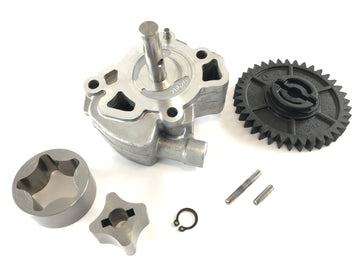 Aprilia RSV 1000 RR Factory [2009] - Oil pump