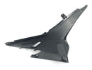 Aprilia RS4 125 TW [2014] - Side panel left-5