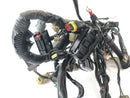 KTM Duke 690 A3 [2012] - Wiring harness-5