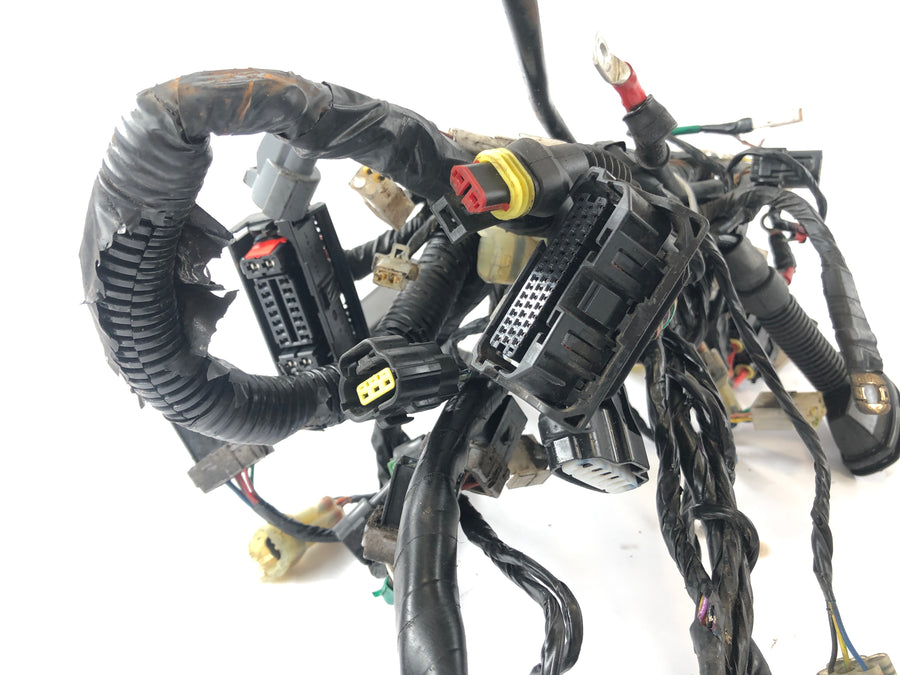 KTM Duke 690 A3 [2012] - Wiring harness