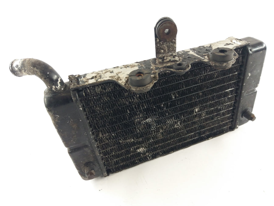 Honda XRV 650 African Twin RD03 [1989] - Radiator Water Cooler