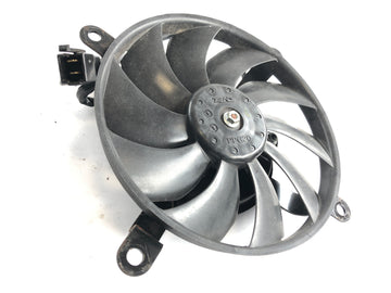 Kawasaki VN 900 Classic [2010] - Radiator fan - 0