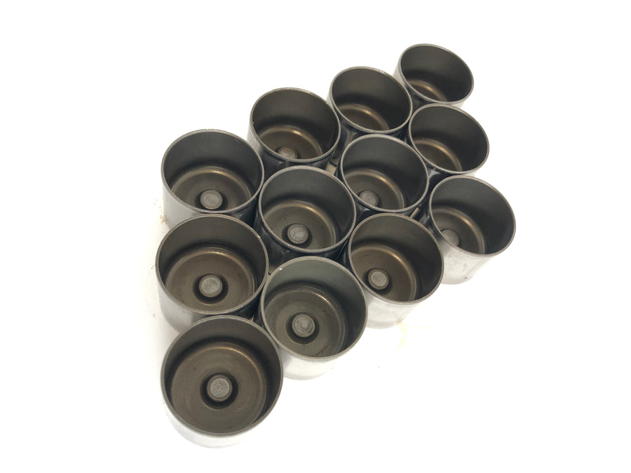 Triumph Thunderbird 900 RT T309 [1997] - Plunger Cups Plunger Cups