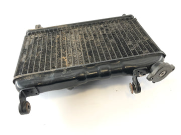 Yamaha TZR 125 4FL [1997] - Radiator Water Cooler - 0