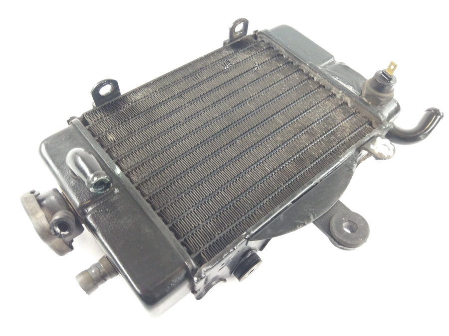 Honda Transalp XL 600 V PD06 [1991] - Radiator Water Cooler