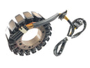 BMW F 800 ST [2006] - Alternator Stator-1