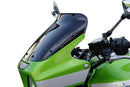 Kawasaki ZRX 1100 97- / 1200 R 01-- Spoiler disc "S"-2