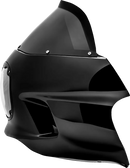 Harley-Davidson Sportser S [Saddlemen]-S-RT Mini disguise-3